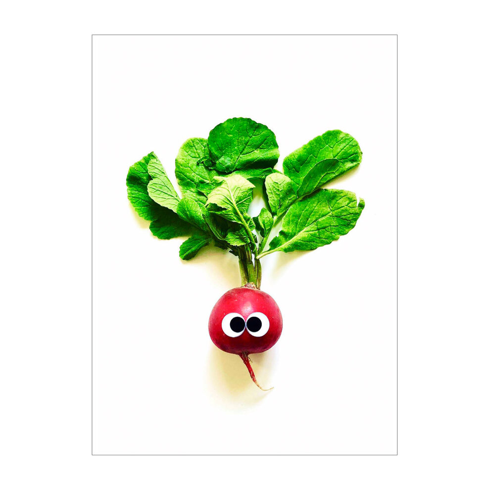 Carte postale "Radis Carte postale "Radis