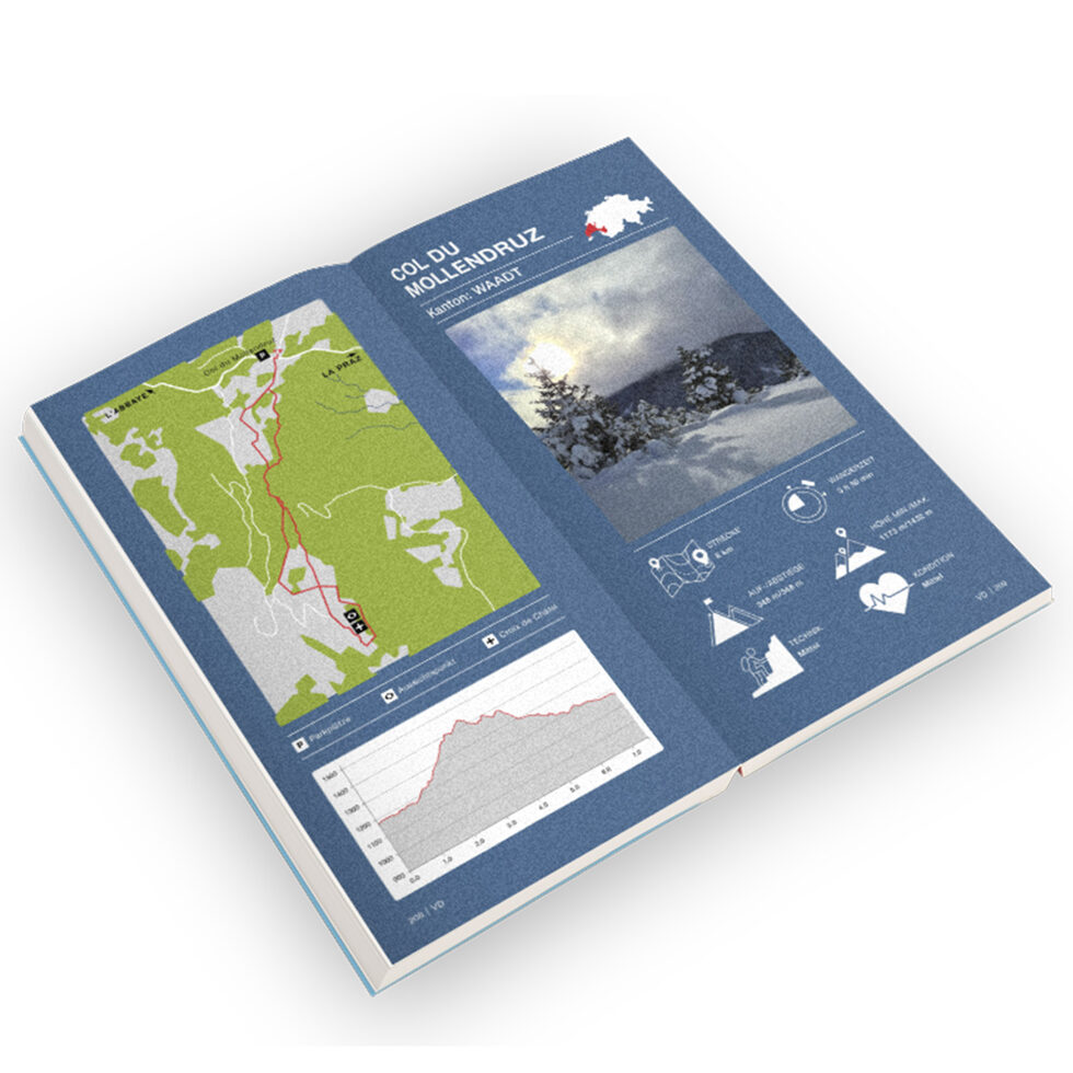 Découvrir la Suisse avec un chien 