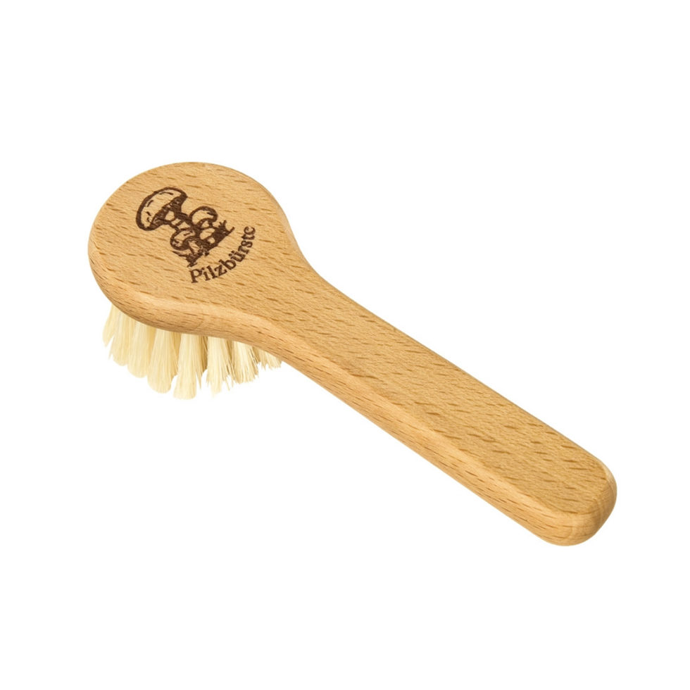 Brosse à champignons avec manche 