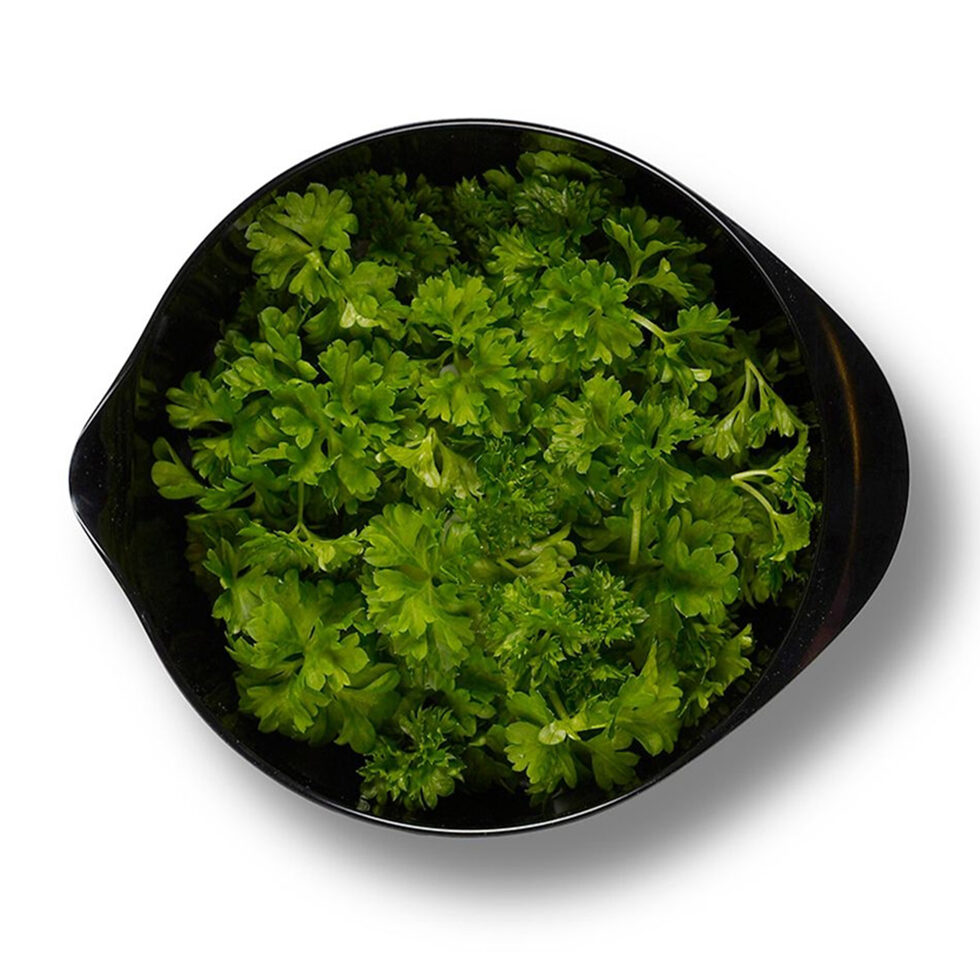 Dough bowl black
1.5 lt 