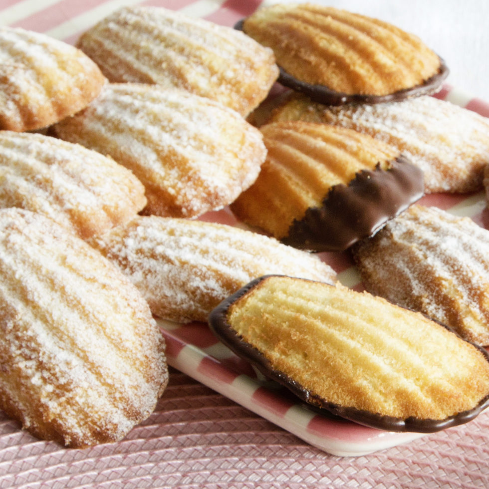 Madeleine / pattes d'ours 