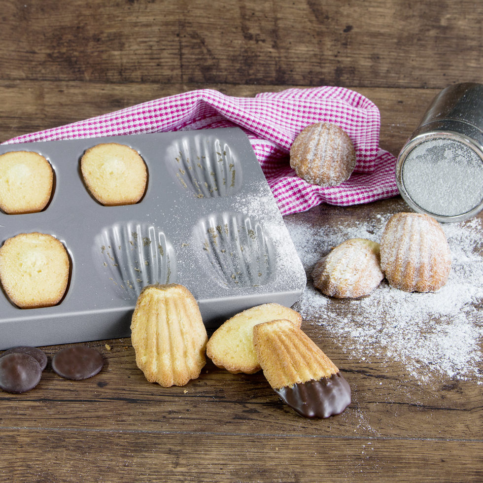 Madeleine / pattes d'ours 