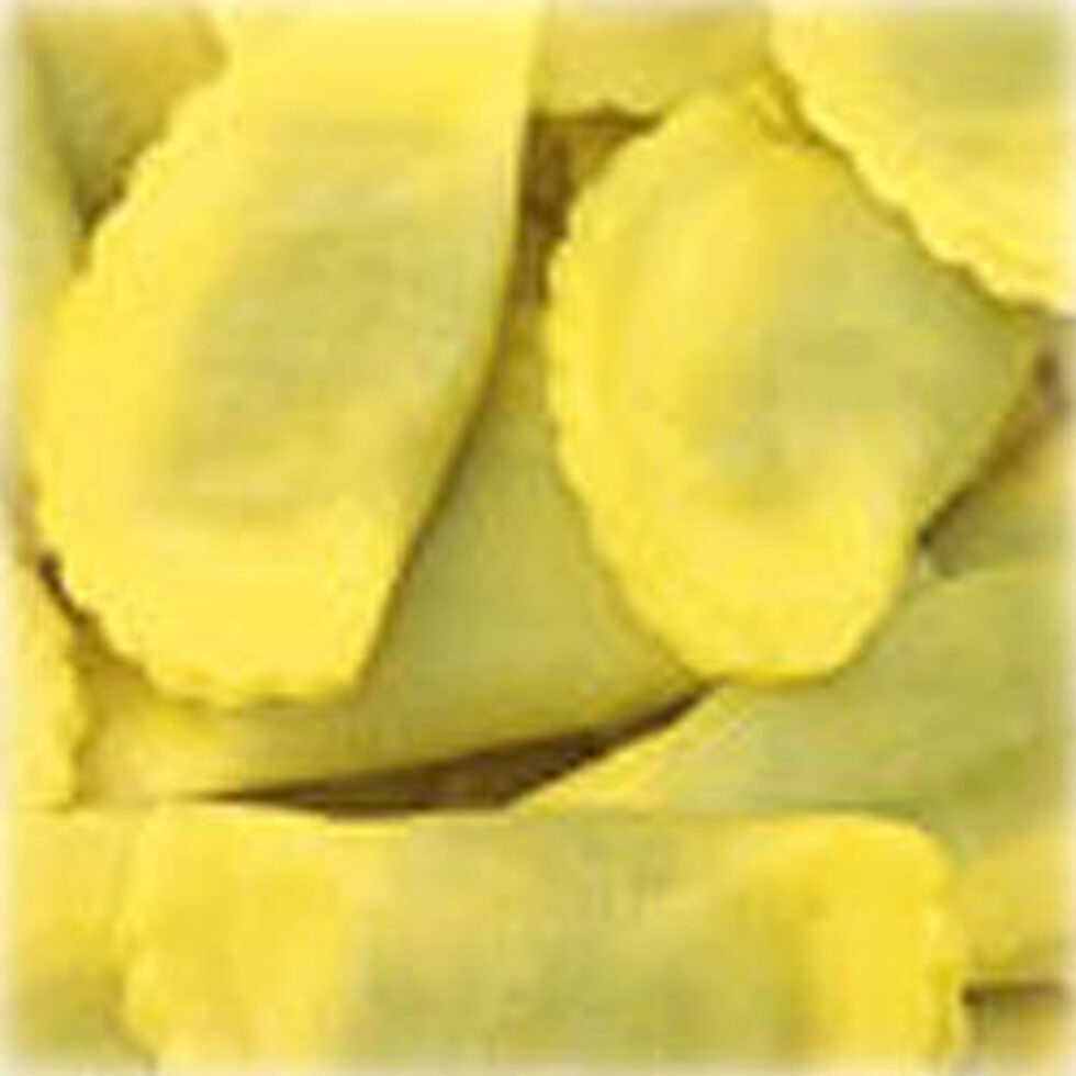 Maultaschenform avec recettes Ensemble de 3 