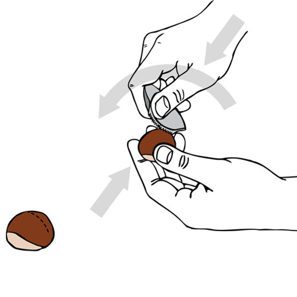 Coupe châtaigne "Jack" 