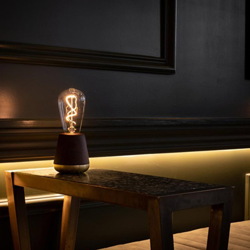 Humble Licht
Walnuss 