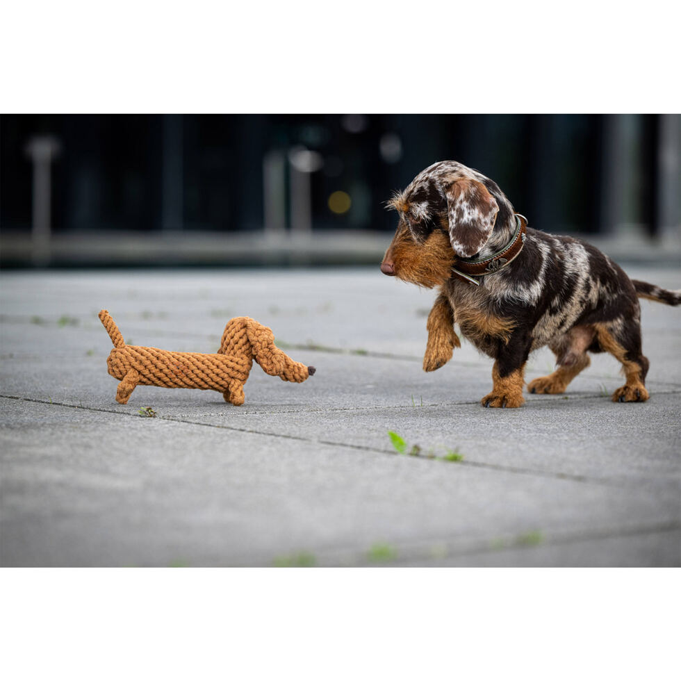 Hundetoy 
"Diego Dackel" 